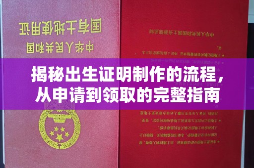 蔚县揭秘出生证明制作的流程，从申请到领取的完整指南