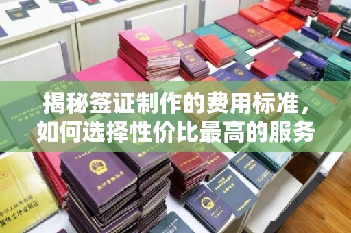 蔚县揭秘签证制作的费用标准，如何选择性价比最高的服务？